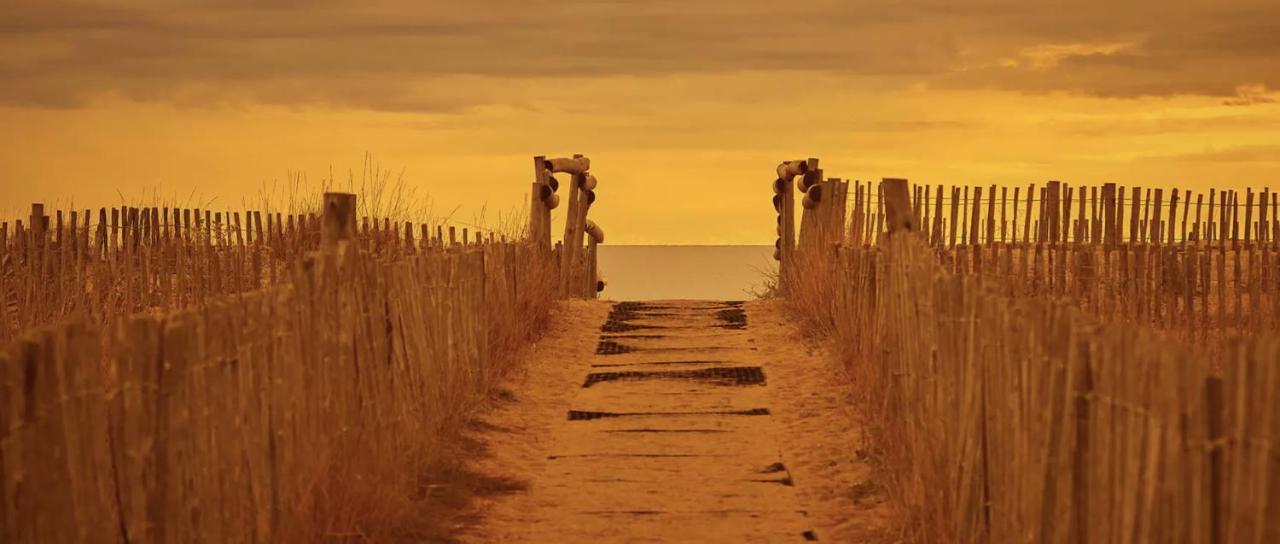 Les Dunes 5 Etoiles Mbh 6Pers 1 Suite Parentale 2 Chbs Et 2 Sdb 2 Wc Clim 42M2 トレイユ エクステリア 写真
